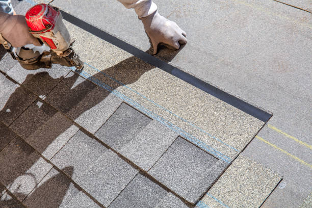 Best Roof Gutter Cleaning  in Enterprise, NV